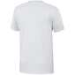 Miesten T-paita Adidas Squadra 21 JSY M GN5725, valkoinen hinta ja tiedot | Miesten urheiluvaatteet | hobbyhall.fi
