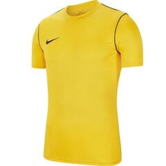 Miesten T-paita Nike Dry Park 20 Top SS M, keltainen hinta ja tiedot | Miesten urheiluvaatteet | hobbyhall.fi