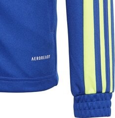 Adidas Squadra 21 Takki, sininen hinta ja tiedot | Jalkapallovaatteet ja -varusteet | hobbyhall.fi