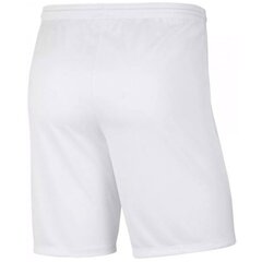 Lasten shortsit Nike Y Park III Jr BV6865 104 hinta ja tiedot | Nike Poikien vaatteet | hobbyhall.fi