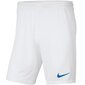 Lasten shortsit Nike Y Park III Jr BV6865 104 hinta ja tiedot | Poikien shortsit | hobbyhall.fi