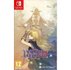 Record of Lodoss War: Deedlit in Wonder Labyrinth NintendoSwitch hinta ja tiedot | Red Art Games Tietokoneet ja pelaaminen | hobbyhall.fi