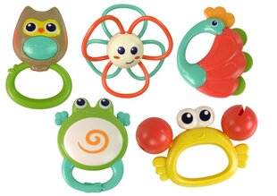 Hola Rattle vauvoille Hola Animal Orchestra hinta ja tiedot | Vauvan lelut | hobbyhall.fi