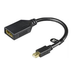 Deltaco MDP-DP1, Mini DisplayPort, DisplayPort, 0.2 metriä hinta ja tiedot | Deltacoimp Kodinkoneet ja kodinelektroniikka | hobbyhall.fi