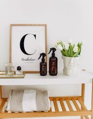 Carbaline "OUD" Aromaattinen silitysvesi 250 ml hinta ja tiedot | Pyykinpesuaineet | hobbyhall.fi