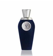 Hajuvesi V Canto Ensis EDP naisille/miehille, 100ml hinta ja tiedot | Naisten hajuvedet | hobbyhall.fi