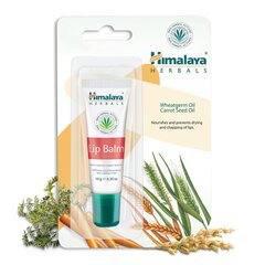 Huulirasva Himalaya Herbals Lip Balm 10 g hinta ja tiedot | Himalaya Hajuvedet ja kosmetiikka | hobbyhall.fi