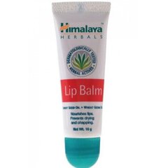 Huulirasva Himalaya Herbals Lip Balm 10 g hinta ja tiedot | Himalaya Hajuvedet ja kosmetiikka | hobbyhall.fi