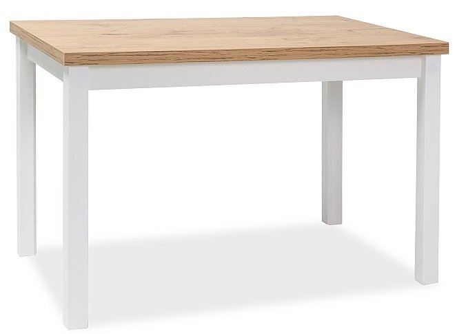 Pöytä Adam DLB, 68x120 cm, tammi/valkoinen väri hinta ja tiedot | Ruokapöydät | hobbyhall.fi