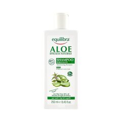 Kosteuttava shampoo Equilibra Aloe 250 ml hinta ja tiedot | Shampoot | hobbyhall.fi