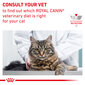 Täysravinto Royal Canin aikuisille stressiherkille kissoille Cat Calm Feline, 2 kg hinta ja tiedot | Kissan kuivaruoka | hobbyhall.fi