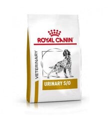 Royal Canin munuaisongelmista kärsiville koirille Dog urinary, 2 kg hinta ja tiedot | Koiran kuivaruoka | hobbyhall.fi