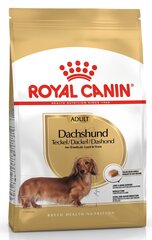 Royal Canin kuivaruoka mäyräkoirille Junior, 1,5 kg hinta ja tiedot | Koiran kuivaruoka | hobbyhall.fi