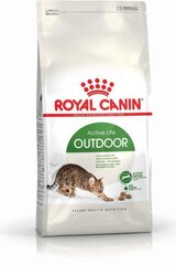 Kuivaruoka Royal Canin Outdoor, 30, 4 kg hinta ja tiedot | Kissan kuivaruoka | hobbyhall.fi