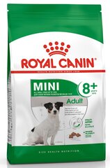 Royal Canin pienten rotujen senioreille Mini Adult +8, 8 kg hinta ja tiedot | Koiran kuivaruoka | hobbyhall.fi