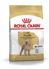 Royal Canin Adult Koiranruoka villakoiralle 1,5 kg hinta ja tiedot | Koiran kuivaruoka | hobbyhall.fi