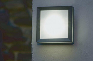 Elstead Lighting Egil EGIL-1W -ulkoseinävalaisin, 14 x 5 x 14 cm, 53, harmaa grafiitti / valkoinen hinta ja tiedot | Puutarha- ja ulkovalot | hobbyhall.fi