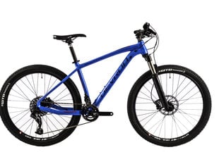 Sähköpyörä Vulcan 29 MTB DV 490mm, harmaa hinta ja tiedot | Sähköpyörät | hobbyhall.fi