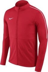 Nike Dry Park 18 Junior Urheilupaita AA2071-657 punainen hinta ja tiedot | Jalkapallovaatteet ja -varusteet | hobbyhall.fi