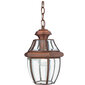 Elstead Lighting Newbury QZ-NEWBURY8-M-AC -ulkoriippuvalaisin, 20,8 x 33,4 cm, E27, ruskea / kirkas läpinäkyvä hinta ja tiedot | Puutarha- ja ulkovalot | hobbyhall.fi