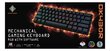 Delcato 60% RGB Red US hinta ja tiedot | Näppäimistöt | hobbyhall.fi