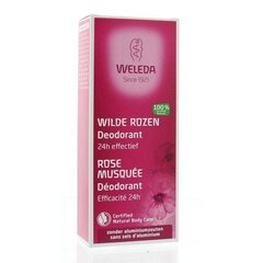 Spray deodorantti Weleda Wild Rose naisille, 100 ml hinta ja tiedot | Deodorantit | hobbyhall.fi