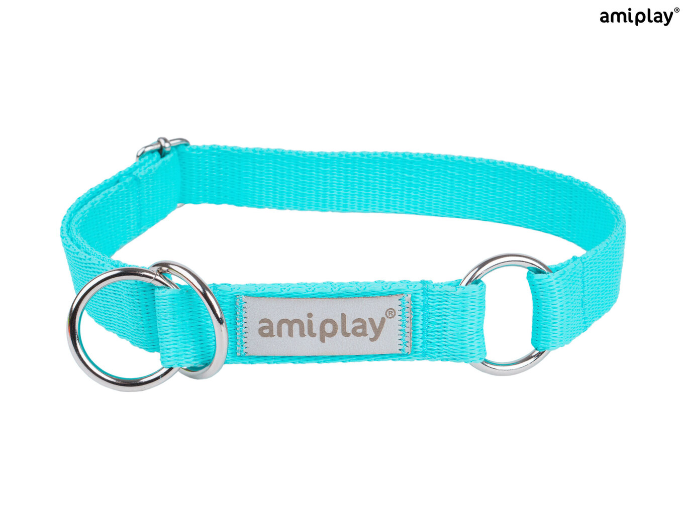 Amiplay puolikuristava kaulapanta Samba, M, Turquoise hinta ja tiedot | Koiran valjaat ja kaulapannat | hobbyhall.fi