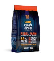 Primal Spirit täysravinto täysikasvuisille koirille Oceanland 1kg hinta ja tiedot | PRIMAL SPIRIT Lemmikit | hobbyhall.fi