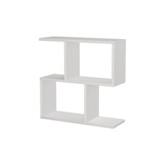 Sohvapöytä Kalune Design 855(III), valkoinen hinta ja tiedot | Sohvapöydät | hobbyhall.fi