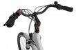 Ecobike Basic Nexus 14.5 Ah Greenway sähköpyörä, valkoinen hinta ja tiedot | Sähköpyörät | hobbyhall.fi