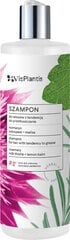 Vis Plantis Shampoo rasvoittumiseen taipuvaisille hiuksille Rosmariini, 400 ml hinta ja tiedot | Shampoot | hobbyhall.fi