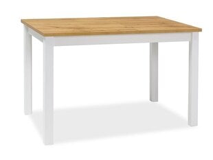 Pöytä Signal Meble Adam, 100x60 cm, ruskea/valkoinen hinta ja tiedot | Ruokapöydät | hobbyhall.fi