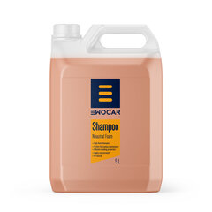 Ewocar Neutral Foam Shampoo hinta ja tiedot | EWOCAR Autotuotteet | hobbyhall.fi