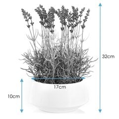 Keinotekoinen kasvi AmeliaHome laventeli hinta ja tiedot | Sisustustuotteet | hobbyhall.fi
