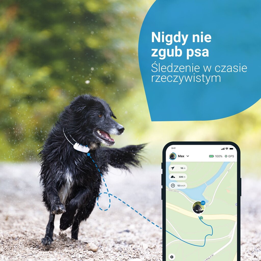 Tractive Tractive GPS DOG 4 koiran jäljitin aktiivisuuden seurannalla - valkoinen hinta ja tiedot | Koiran vaatteet | hobbyhall.fi