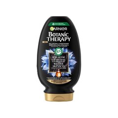 Hiustenhoitoaine Garnier Botanic Therapy, 200 ml hinta ja tiedot | Hoitoaineet | hobbyhall.fi