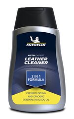 Michelin 3in1-auton puhdistusaine, 250ml hinta ja tiedot | Autokemikaalit | hobbyhall.fi