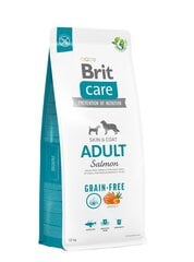 Brit Care pienille ja keskikokoisille aikuisille koirille, viljaton, lohta, 12 kg hinta ja tiedot | Koiran kuivaruoka | hobbyhall.fi