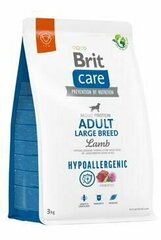 Brit Care Hypoallergenic isokokoisille koirille karitsalla, 3 kg hinta ja tiedot | Brit Koirat | hobbyhall.fi