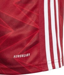 T-paita Adidas, punainen hinta ja tiedot | Jalkapallovaatteet ja -varusteet | hobbyhall.fi