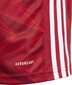 T-paita Adidas, punainen hinta ja tiedot | Jalkapallovaatteet ja -varusteet | hobbyhall.fi