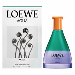 Tuoksu Loewe Agua Miami EDT, 100 ml hinta ja tiedot | Naisten hajuvedet | hobbyhall.fi