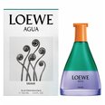 Tuoksu Loewe Agua Miami EDT, 100 ml