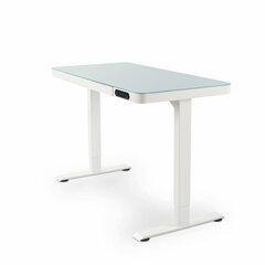 Pöytä Nate, teräs, (120,3 x 60,3 cm), valkoinen hinta ja tiedot | Tietokonepöydät ja työpöydät | hobbyhall.fi