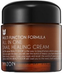 Uudistava kasvovoide etanaseerumilla 92% (All In One Snail Repair Cream) hinta ja tiedot | Mizon Hajuvedet ja kosmetiikka | hobbyhall.fi