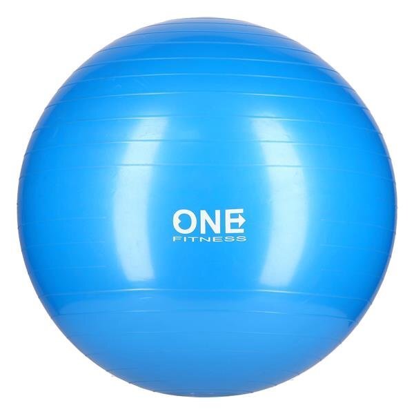 Voimistelupallo One Fitness 10, 55 cm hinta ja tiedot | Voimistelupallot | hobbyhall.fi