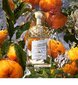 Hajuvesi Guerlain Aqua Allegoria Mandarine Basilic EDT naisille EDT 125 ml hinta ja tiedot | Naisten hajuvedet | hobbyhall.fi