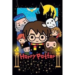 3D-palapeli peruukki Harry Potter (300 kpl). hinta ja tiedot | Palapelit | hobbyhall.fi