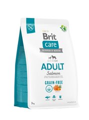 Brit Care Viljaton kuivaruoka pienille ja keskikokoisille koirille, 3 kg hinta ja tiedot | Koiran kuivaruoka | hobbyhall.fi
