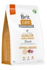 Brit Care Hypoallergenic nuorille suurille koirille, lammasta, 3 kg hinta ja tiedot | Koiran kuivaruoka | hobbyhall.fi